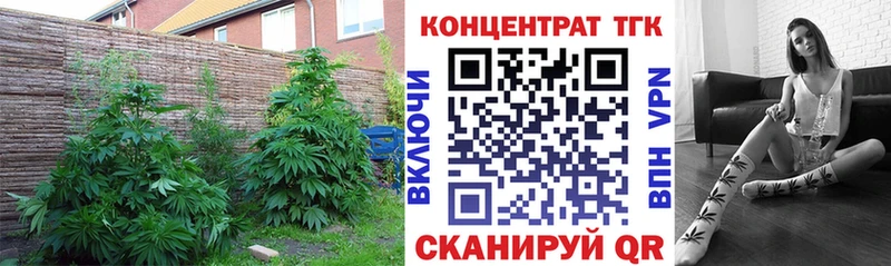ТГК вейп  Лихославль 